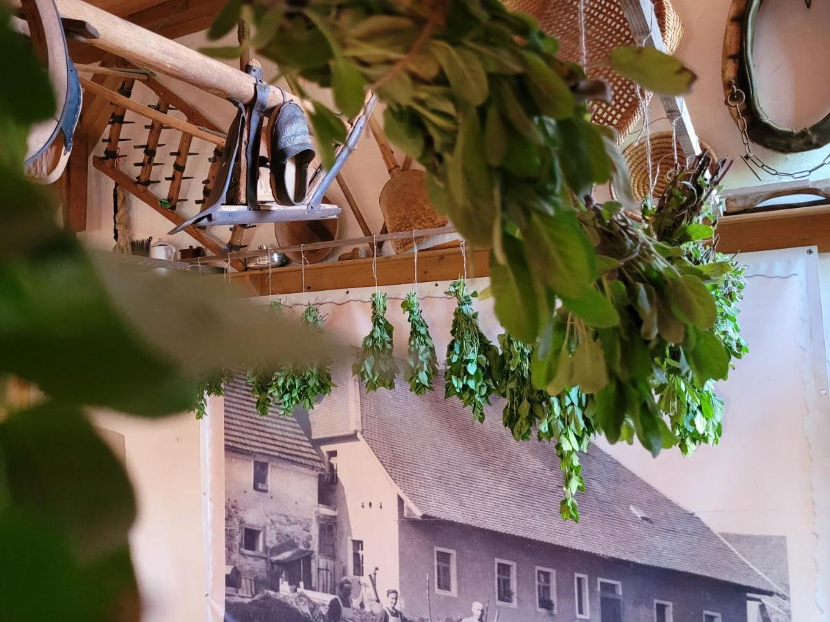 Landhotel Grosseiberhof Waldmünchen Buitenkant foto
