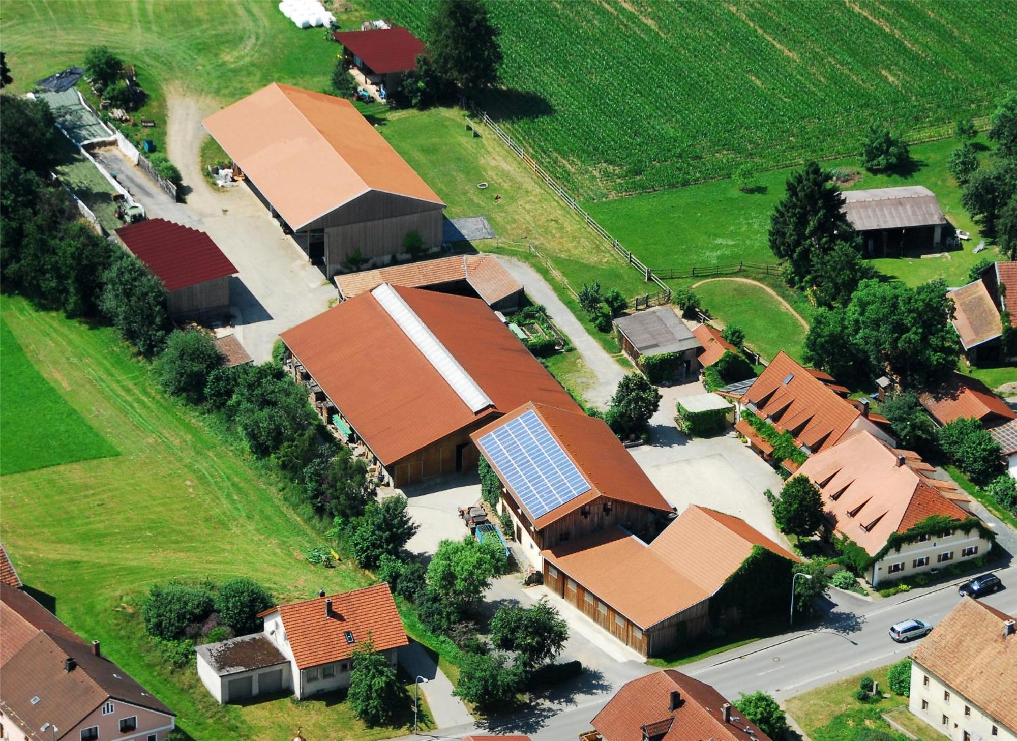 Landhotel Grosseiberhof Waldmünchen Buitenkant foto