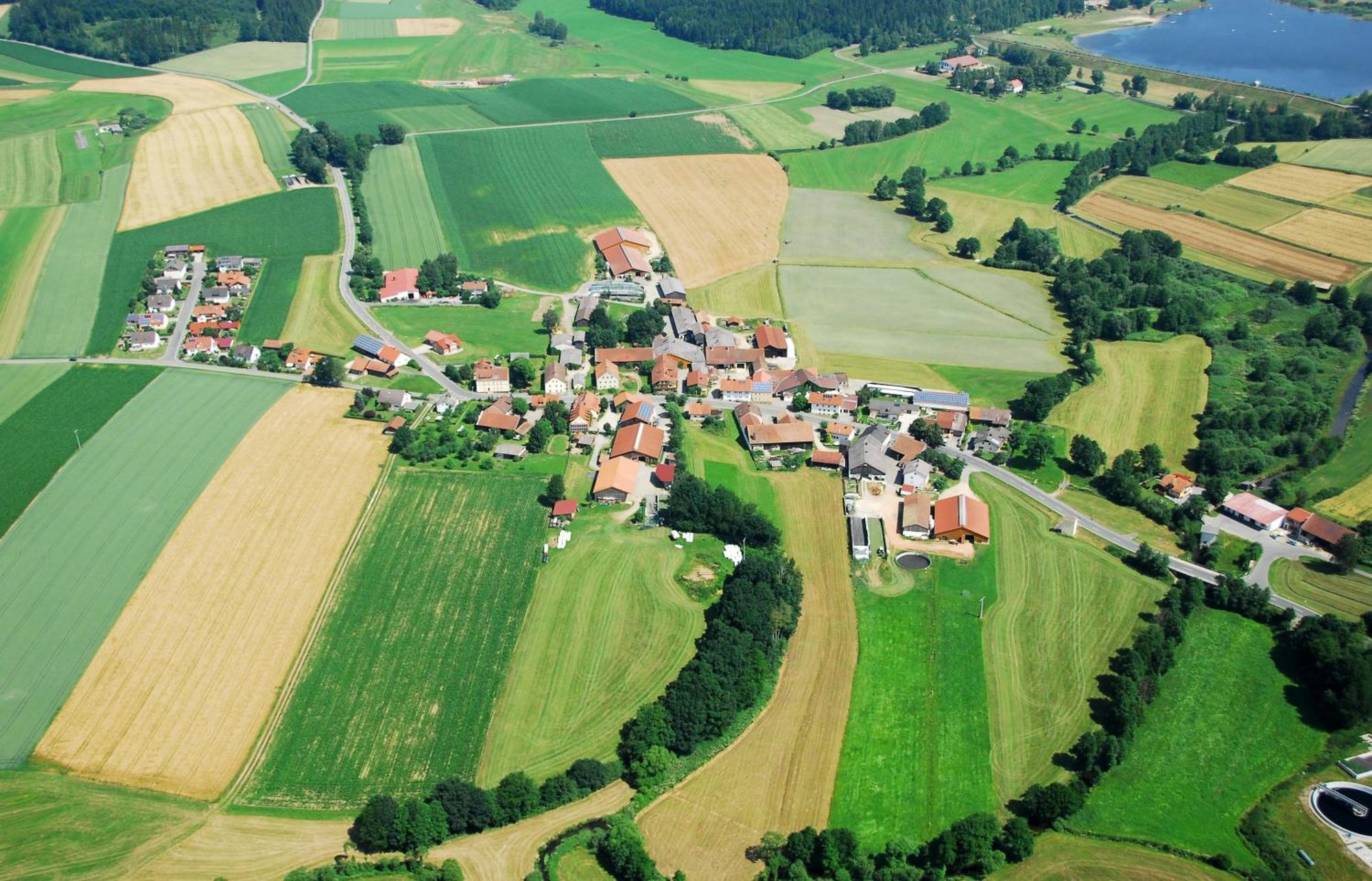 Landhotel Grosseiberhof Waldmünchen Buitenkant foto